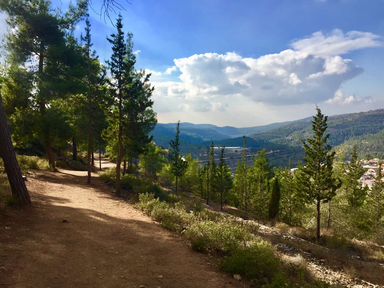 Walk in Jerusalem woods