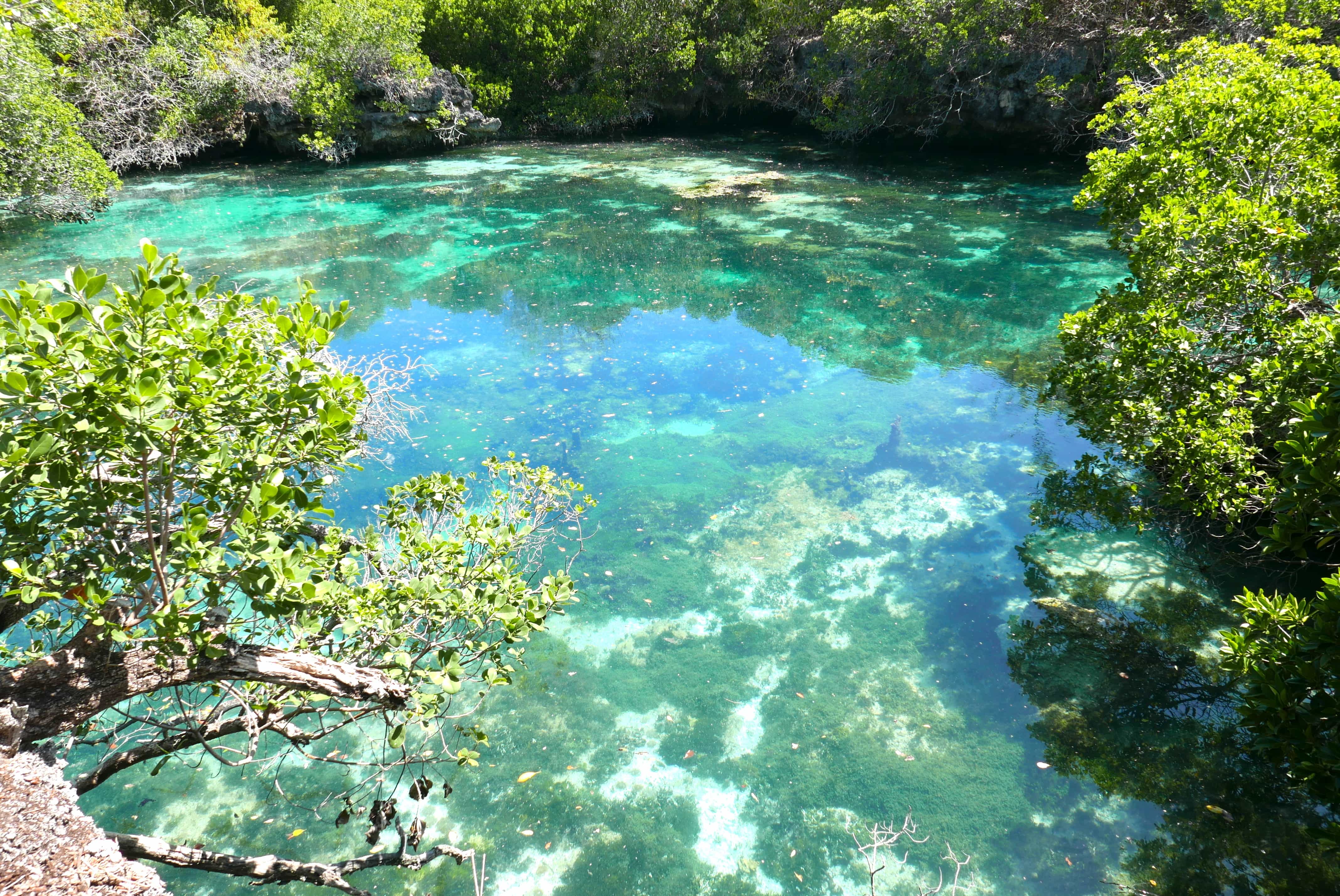Best Thing To Do In Mafia Island - Swim In The Hidden Lagoon