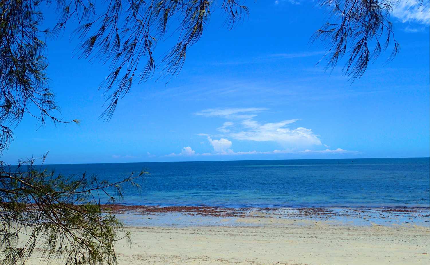 Pangani beach