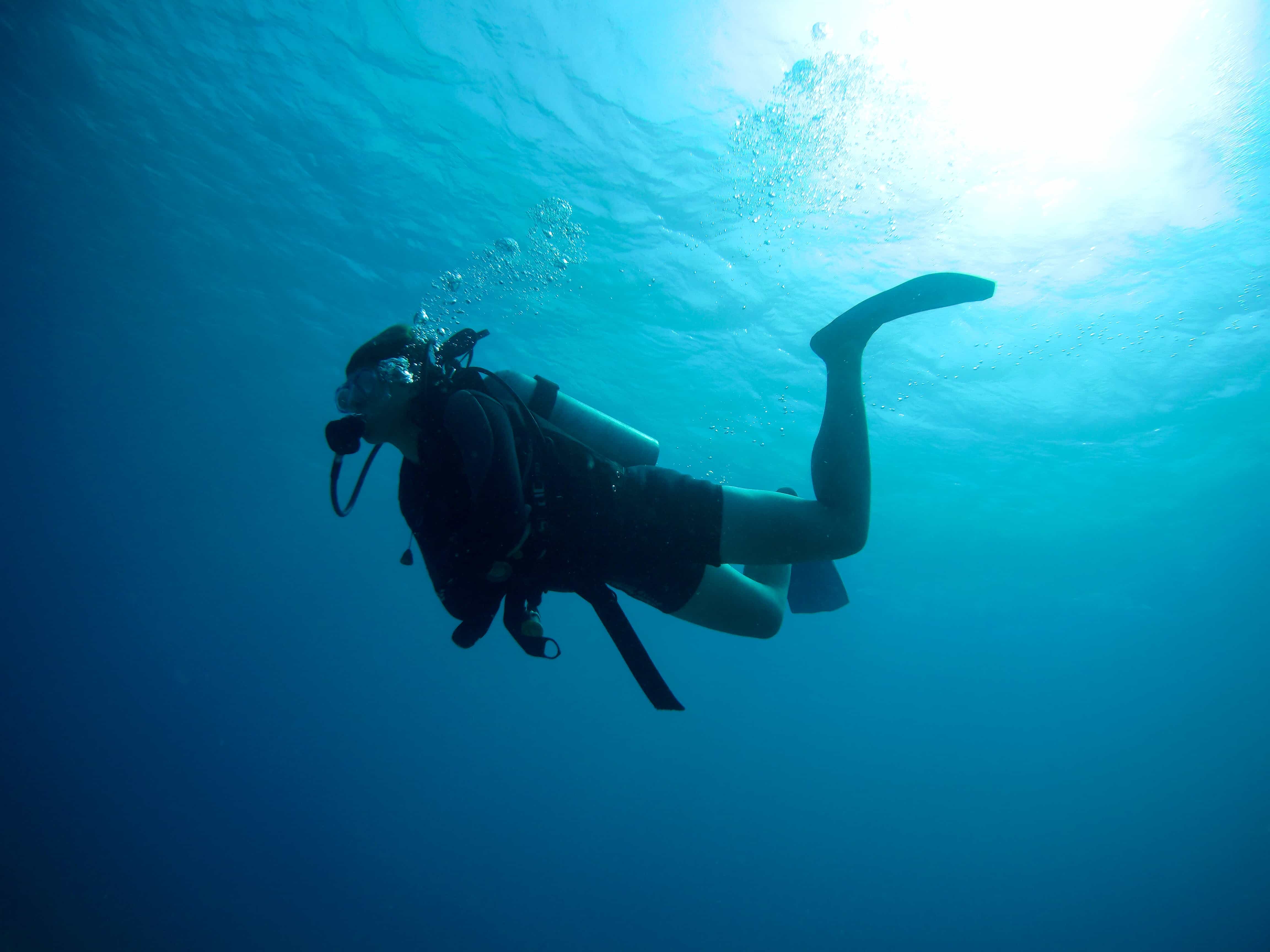 Scuba diving in Eilat