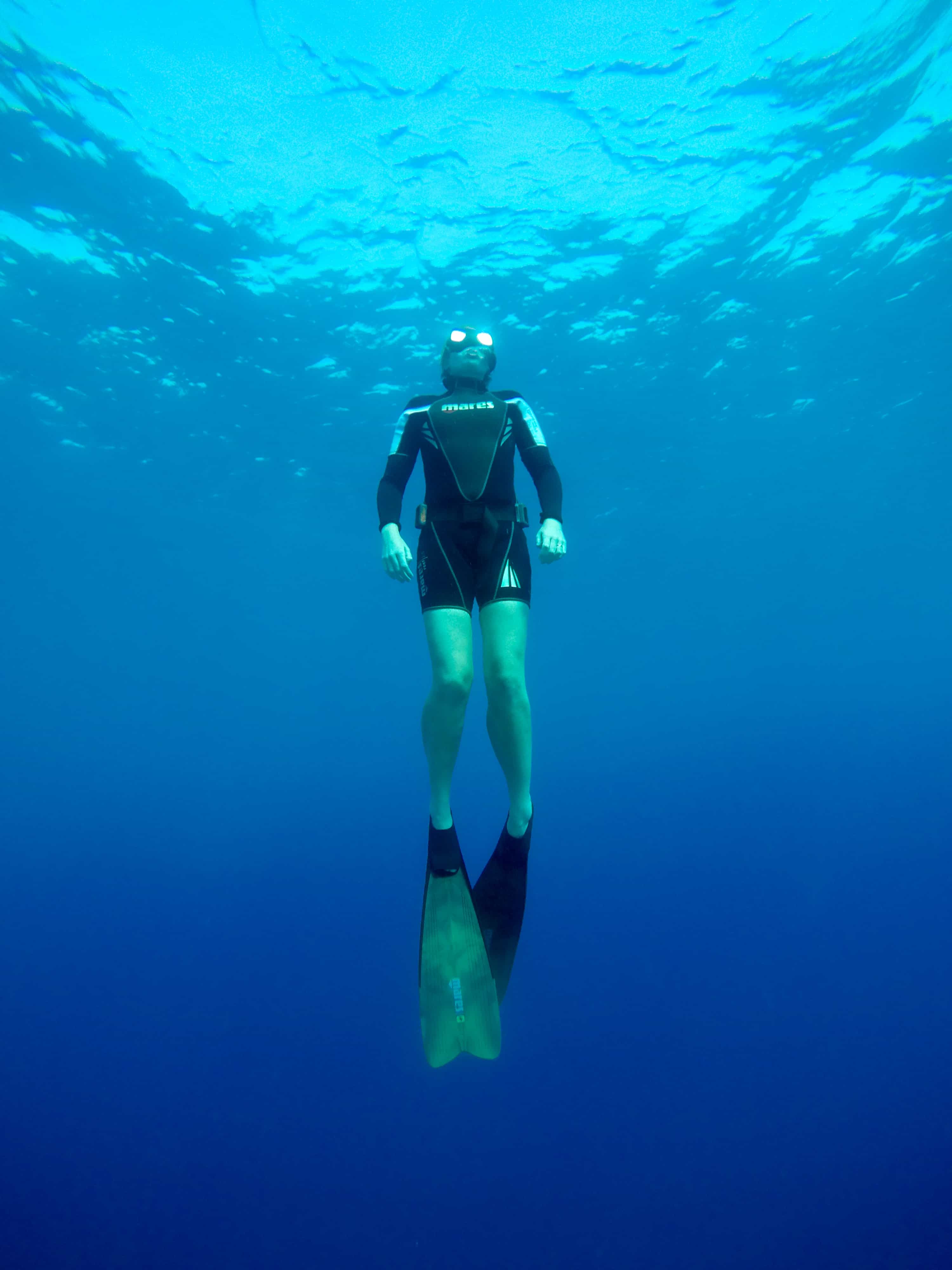 Beginner freediving course in Eilat
