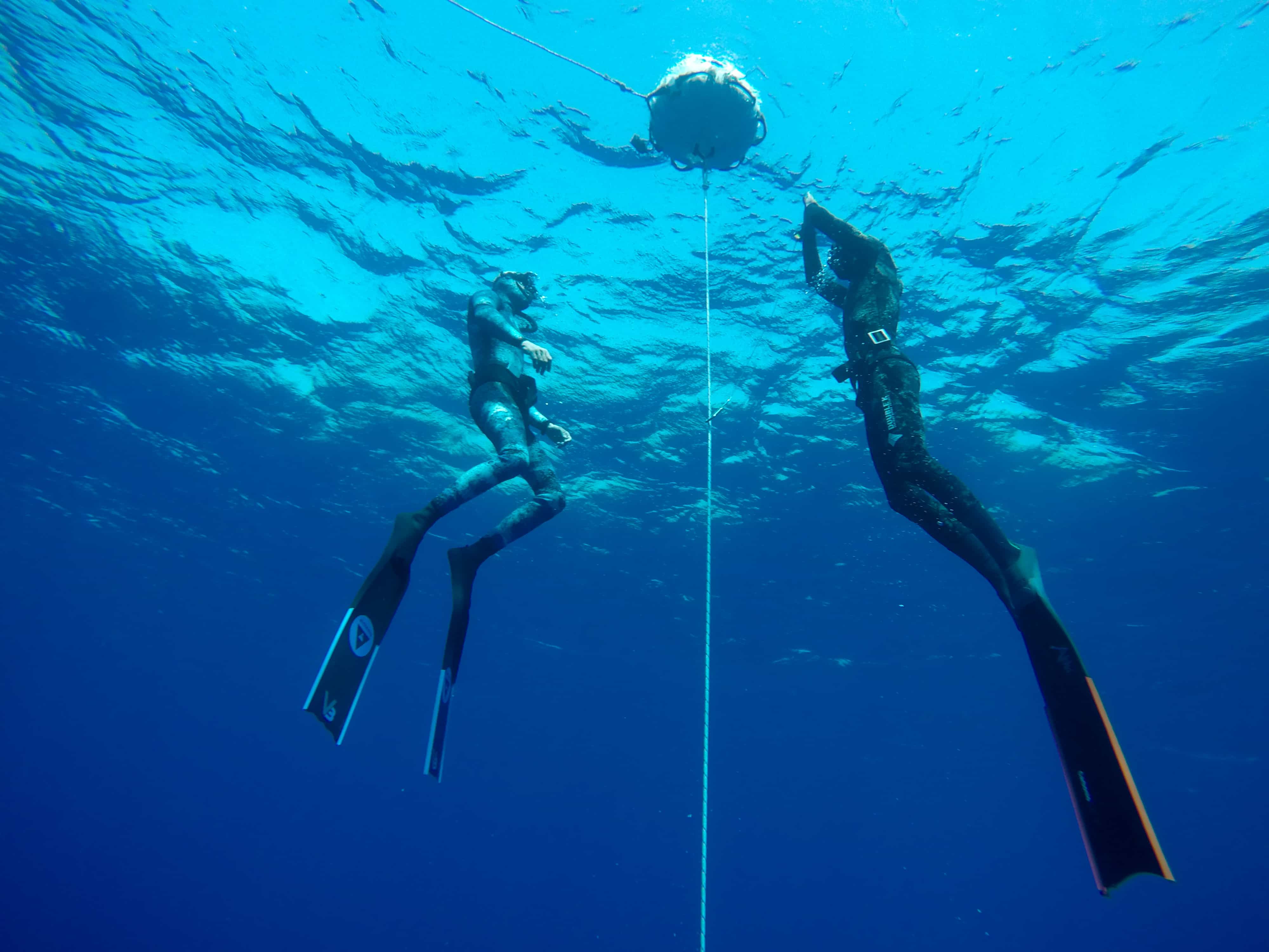 Freediving in eilat