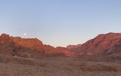 Day 7 on the Tiso Hike Jordan Expedition