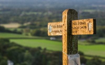Walking the South Downs Way | Route, budget & tips