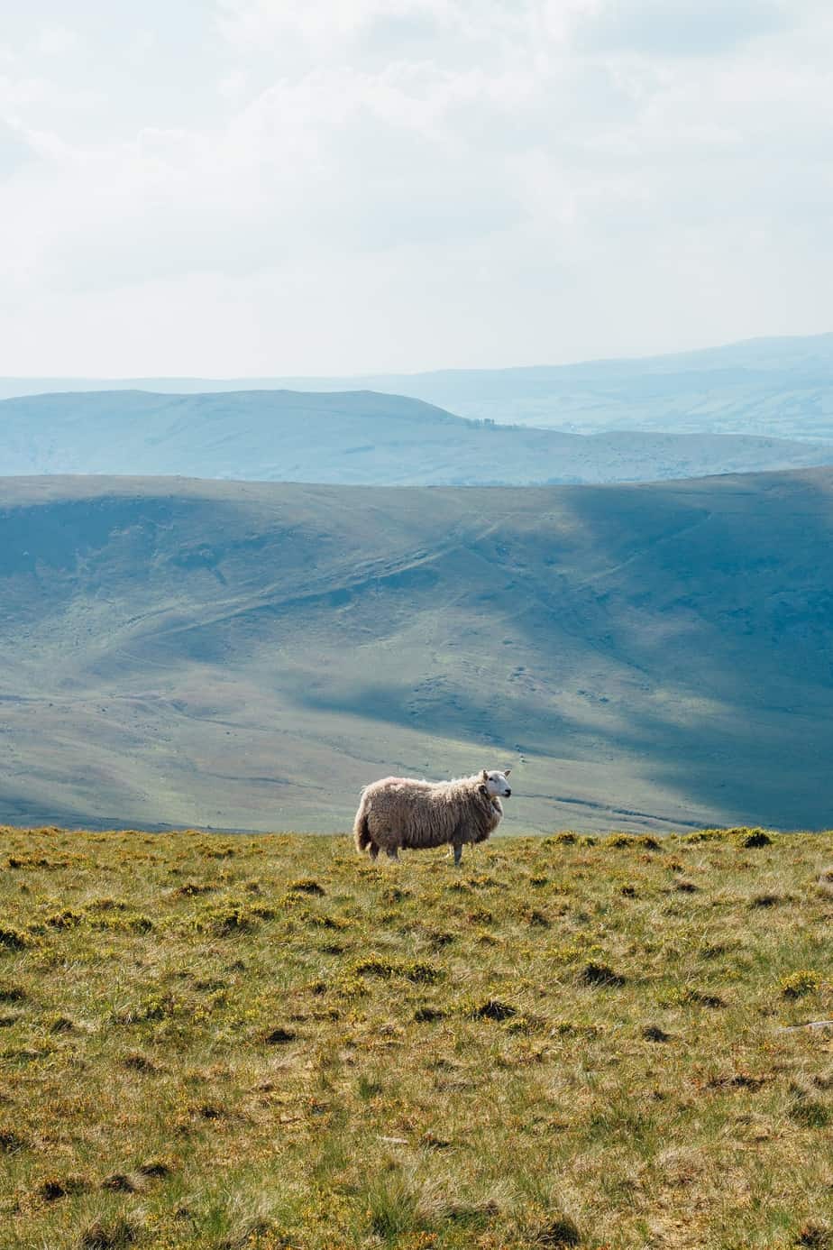 Wild Camping Brecon Beacons