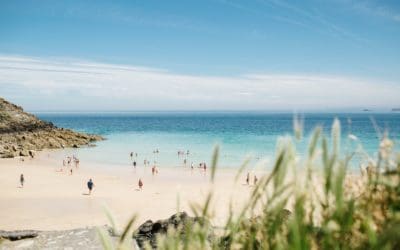 6 Best Dog-friendly beaches near St Ives