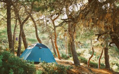 Wild Camping Dorset GUIDE // best camp spots [2024]