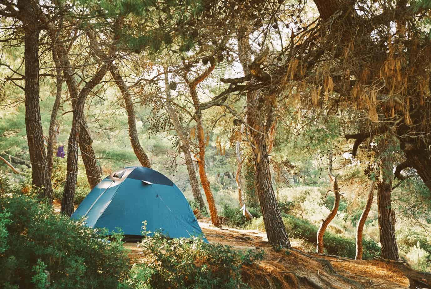 Wild camping dorset