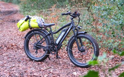 Himiway Cruiser REVIEW // The Best Fat Tyre Electric Bike of 2024?