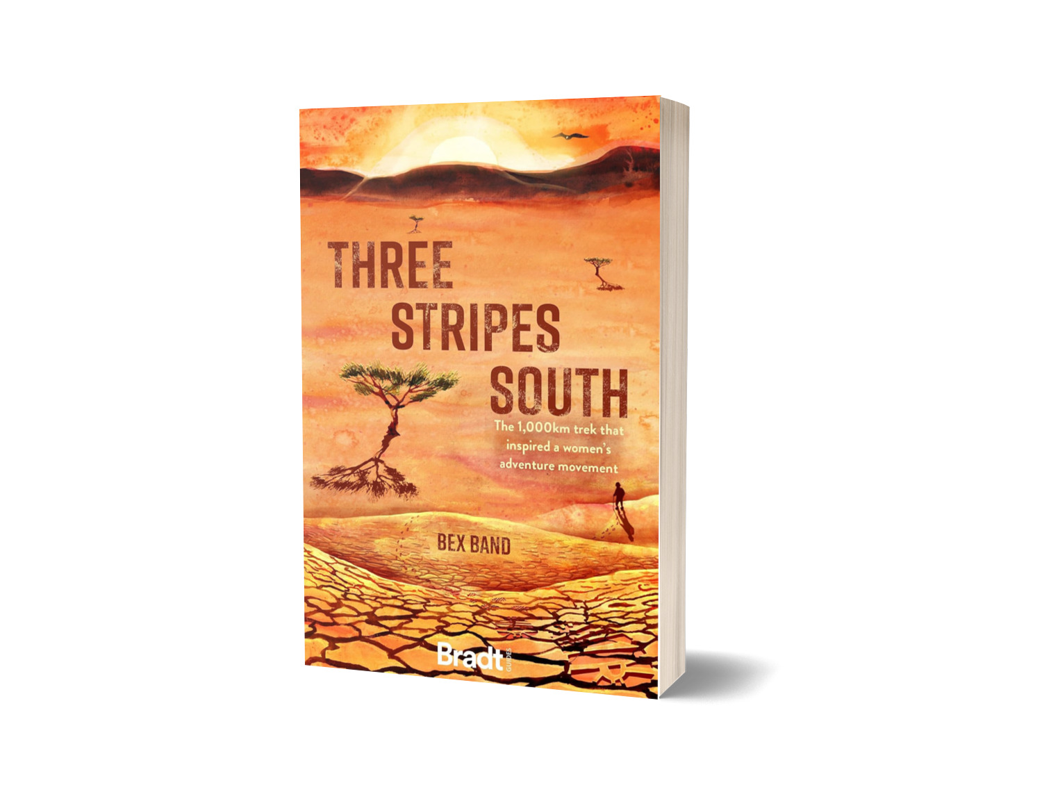 Three Stripes South - hiking israel national trail book